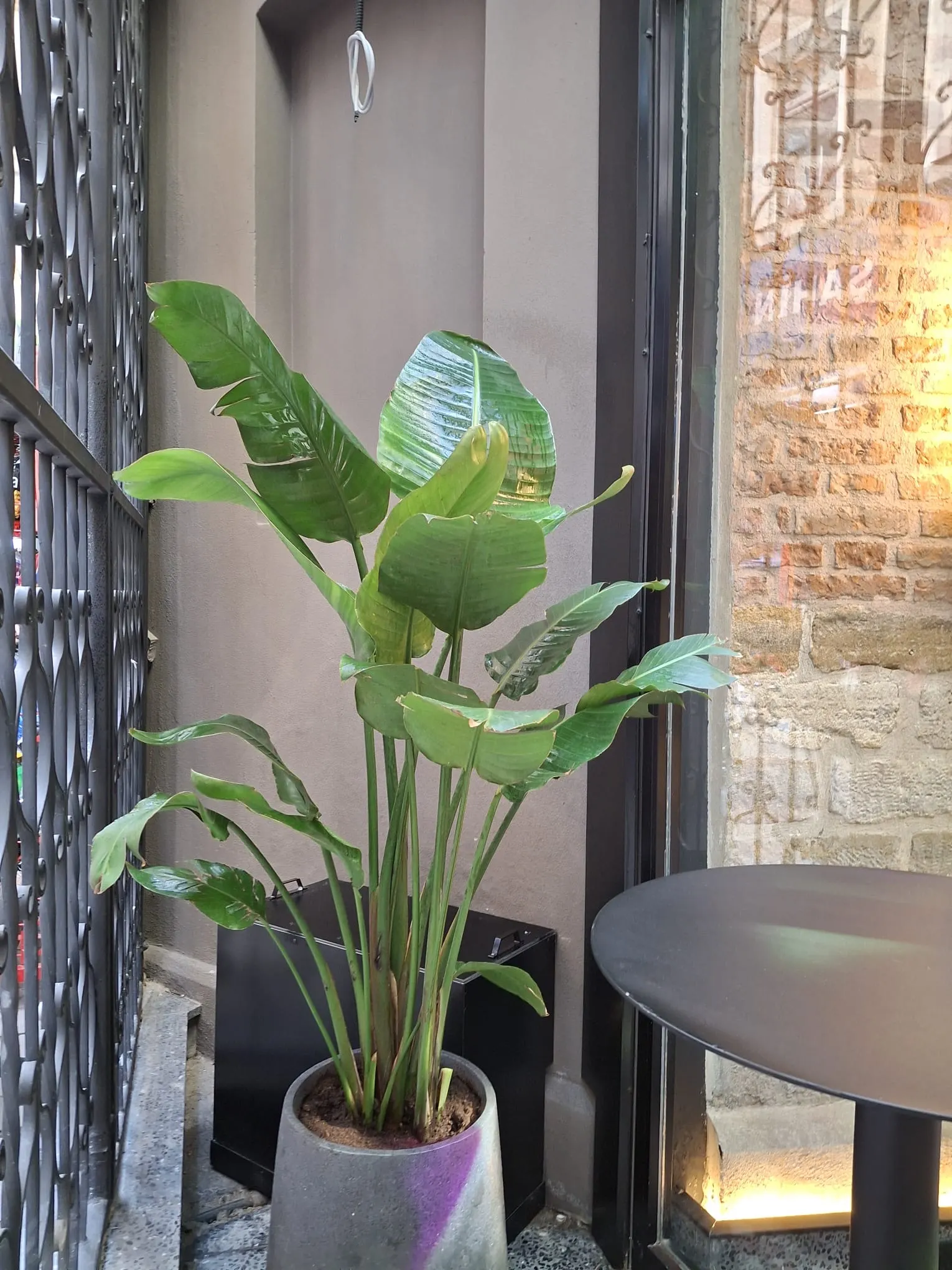 Moxy Otel Beyoğlu